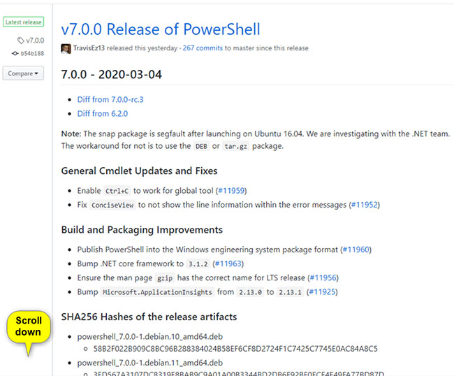 Scroll down to the Assets section for Powershell 7.0.0