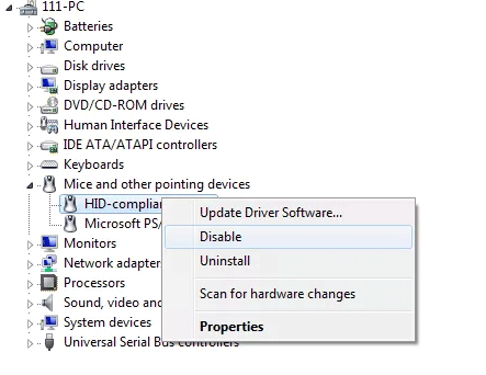Disable or update the driver