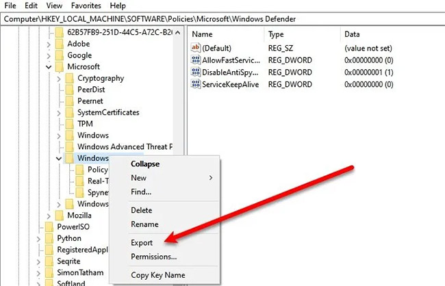 Delete Windows Defender Key
