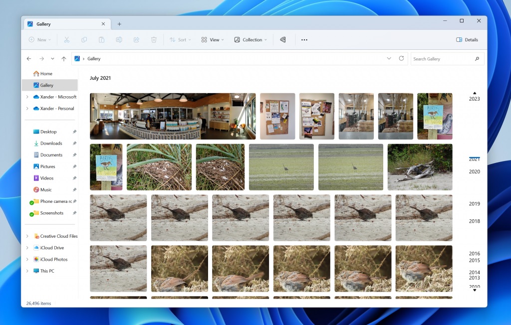 File Explorer Gallery View