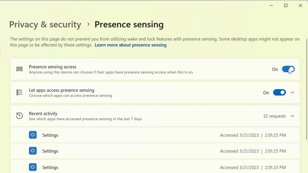 Windows 11 privacy setting