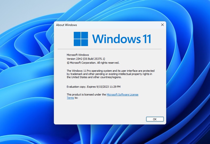 Windows 11 23H2 winver